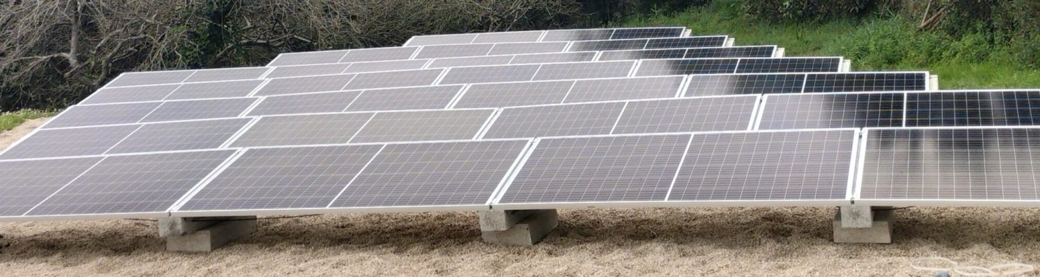 IMG_20220317_121730[1]